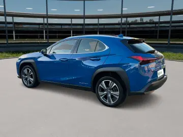 LEXUS UX 300 e Mark and  Levingston