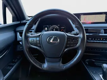 LEXUS UX 300 e Mark and  Levingston