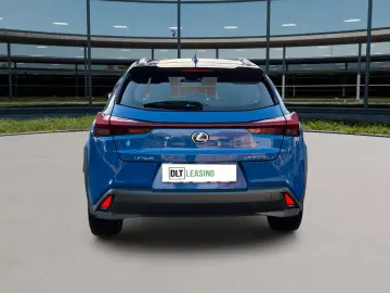 LEXUS UX 300 e Mark and  Levingston
