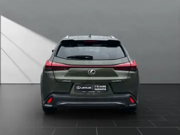 LEXUS UX 250h FSPORT-D 1.HD ALLW.REIF   15J-GARANTIE