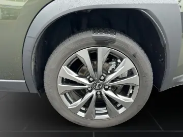 LEXUS UX 250h FSPORT-D 1.HD ALLW.REIF   15J-GARANTIE