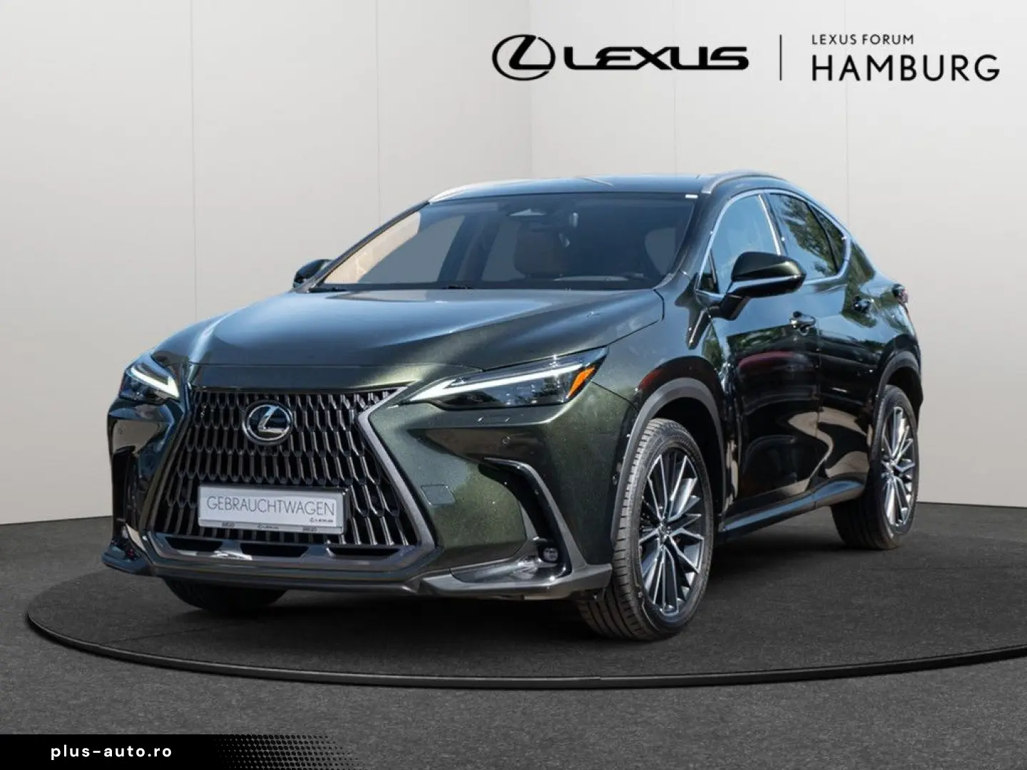 LEXUS NX 450h   Luxury MATRIX-LED 360  Parkassistent