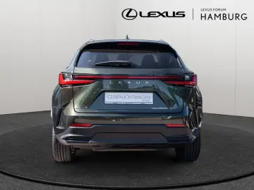 LEXUS NX 450h   Luxury MATRIX-LED 360  Parkassistent