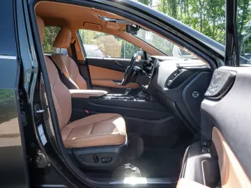 LEXUS NX 450h   Luxury MATRIX-LED 360  Parkassistent
