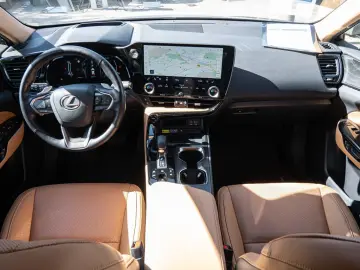 LEXUS NX 450h   Luxury MATRIX-LED 360  Parkassistent