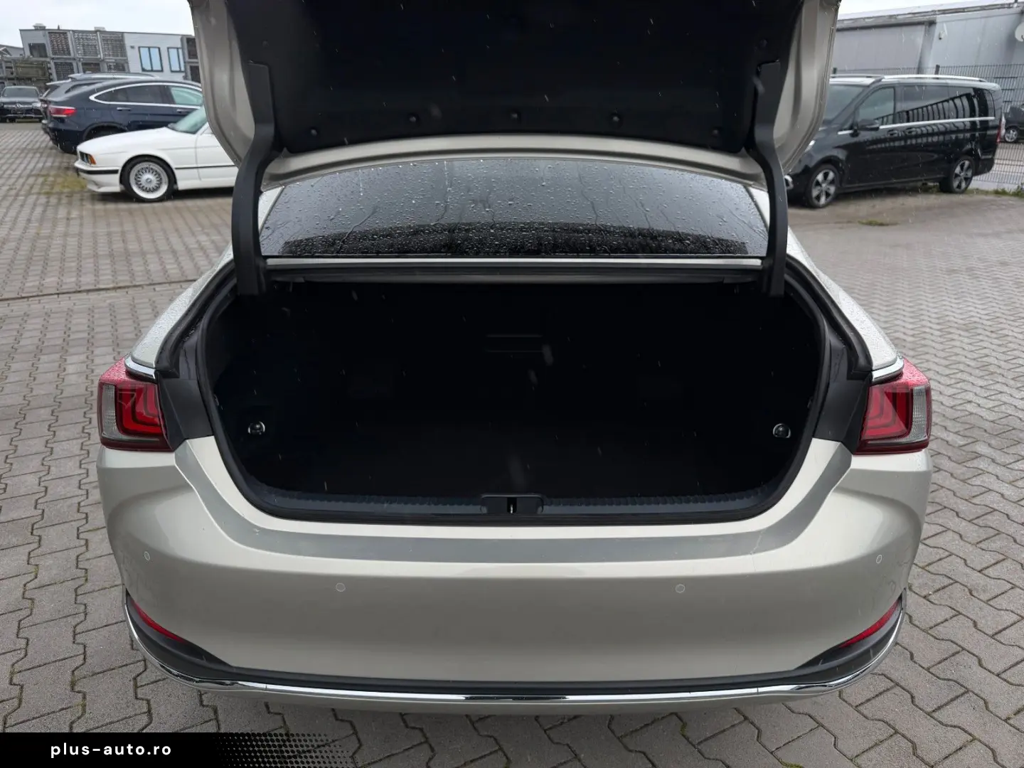 LEXUS ES 300h EXECUTIVE