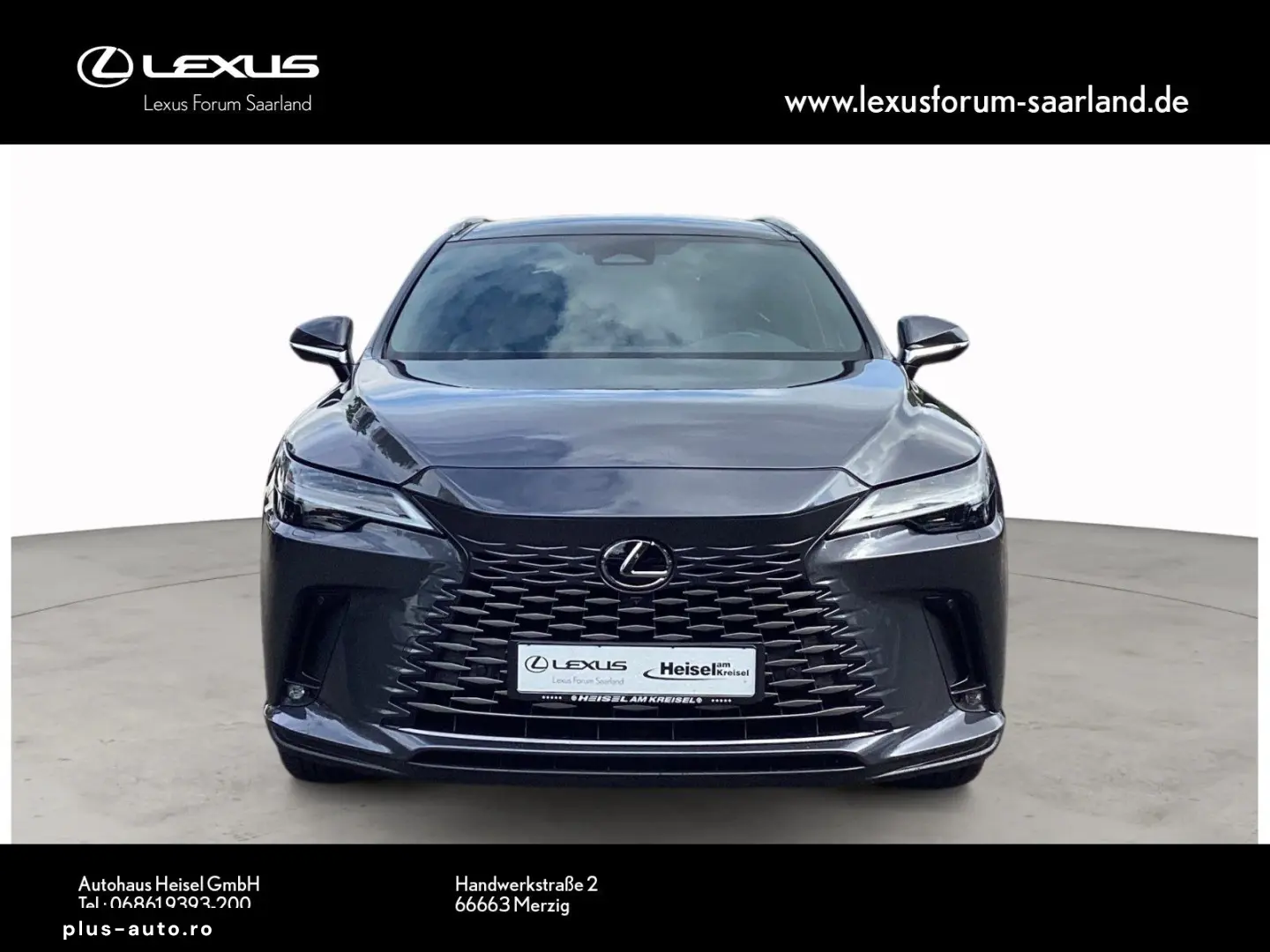 LEXUS RX 450h   E-Four Executive Line Panorama
