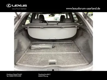 LEXUS RX 450h   E-Four Executive Line Panorama