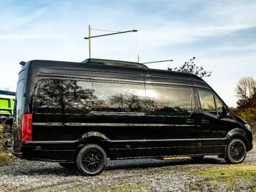 MERCEDES-BENZ Sprinter 319 VIP Tourismus 8 1 Busines…