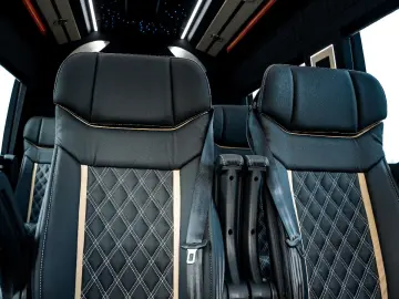 MERCEDES-BENZ Sprinter 319 VIP Tourismus 8 1 Busines…