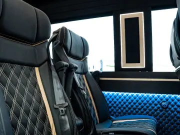 MERCEDES-BENZ Sprinter 319 VIP Tourismus 8 1 Busines…