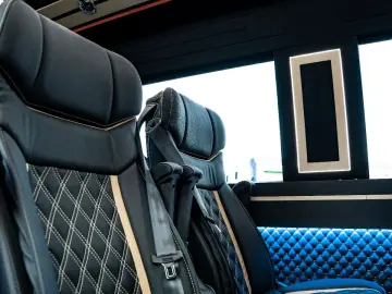 MERCEDES-BENZ Sprinter 319 VIP Tourismus 8 1 Busines…