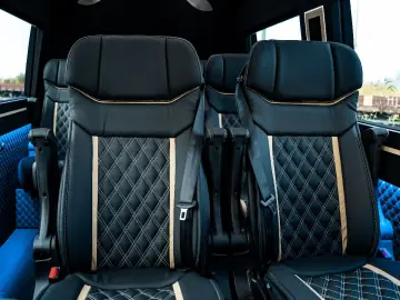 MERCEDES-BENZ Sprinter 319 VIP Tourismus 8 1 Busines…