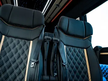 MERCEDES-BENZ Sprinter 319 VIP Tourismus 8 1 Busines…