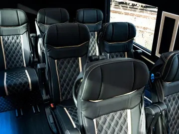 MERCEDES-BENZ Sprinter 319 VIP Tourismus 8 1 Busines…