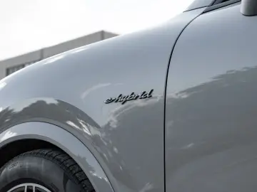 PORSCHE Cayenne E-Hybrid Sportabgasanlage 21-Zoll HUD