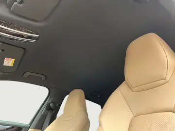 PORSCHE Cayenne E-Hybrid Luftfederung BOSE PDCC Sportabg