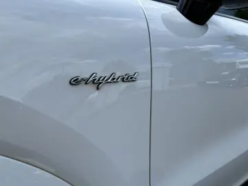 PORSCHE Cayenne E-Hybrid Luftfederung BOSE PDCC Sportabg
