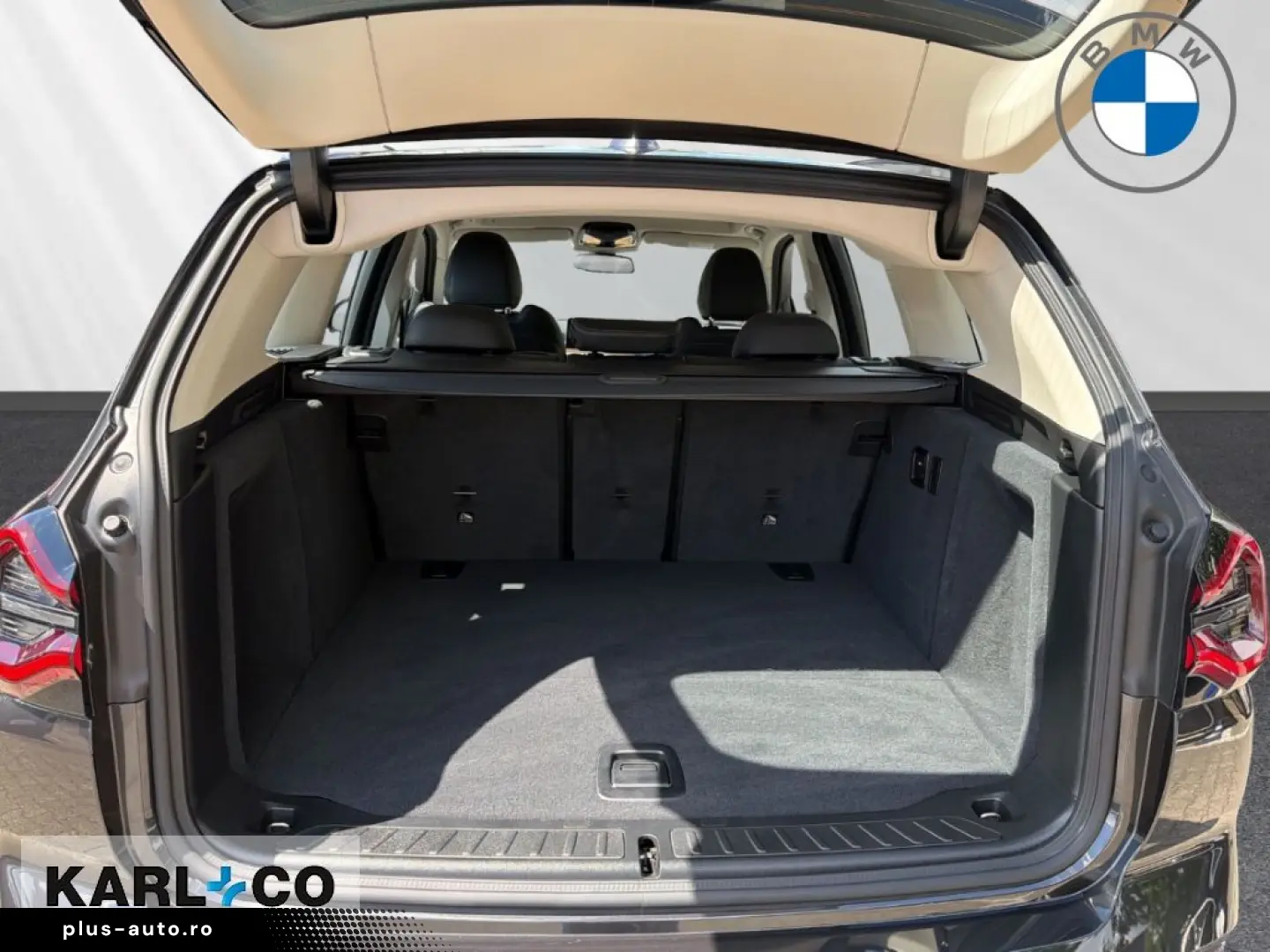 BMW X3 xDrive20i LC Prof Driv Assis Ambiente LED