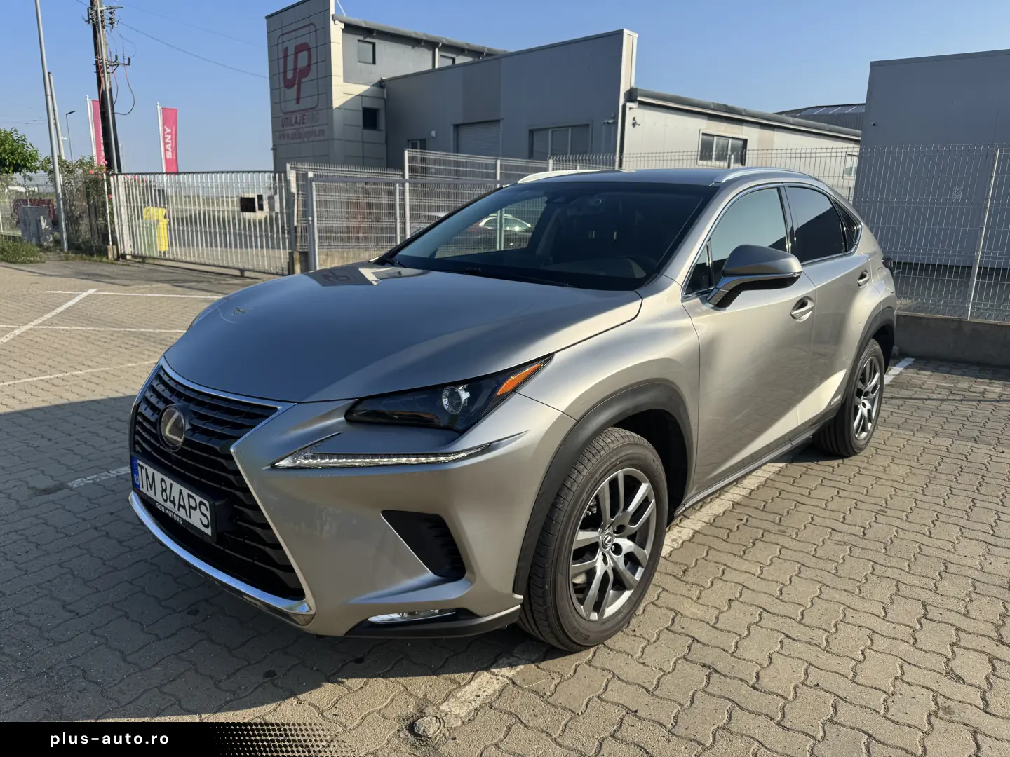 Lexus NX 300