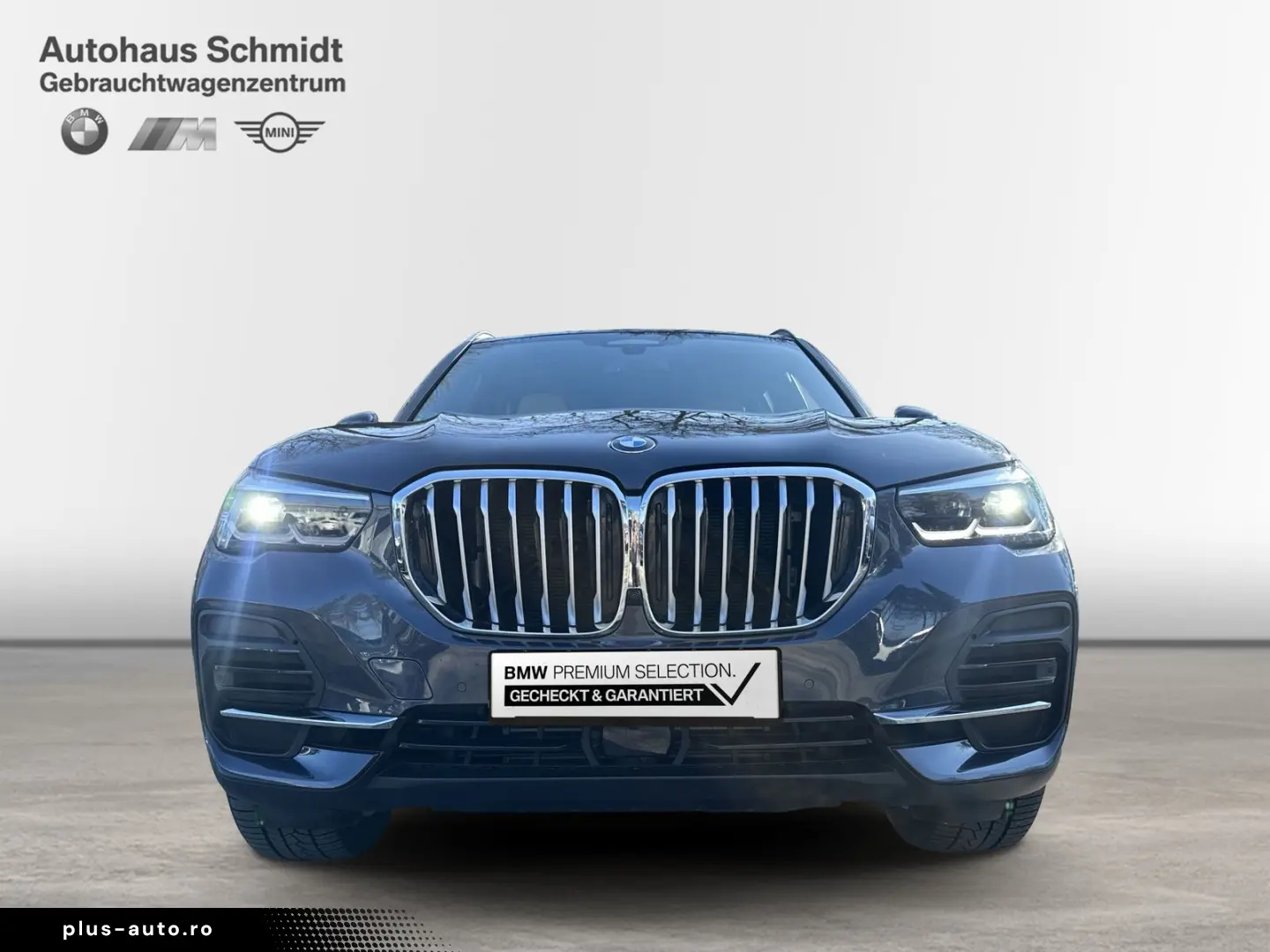 BMW X5 xDrive40d  18  LC Prof. HUD DAB Driving Assis