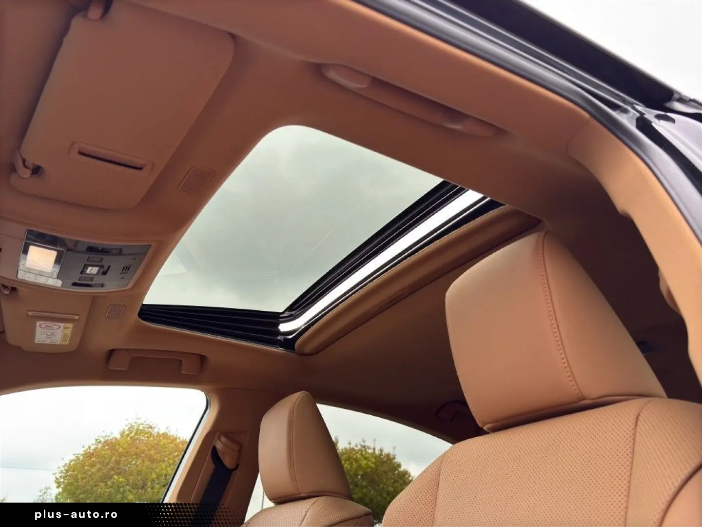 LEXUS ES 300h Business  Schiebedach Leder LED