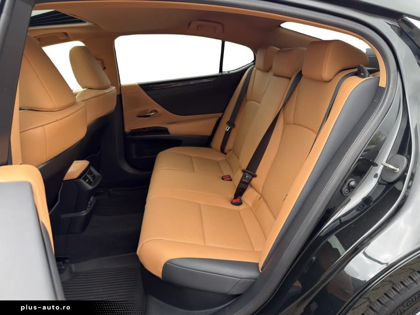 LEXUS ES 300h Business  Schiebedach Leder LED