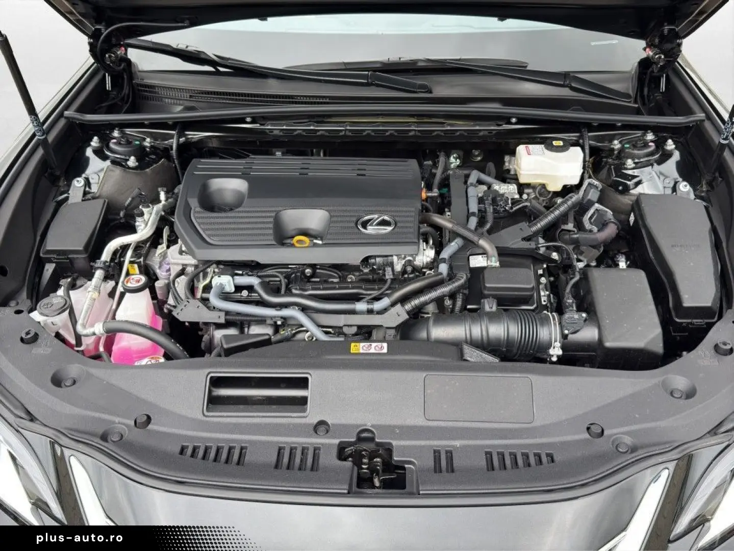 LEXUS ES 300h Business  Schiebedach Leder LED