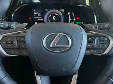 LEXUS NX 450h  E-FOUR Business Line  LED 360  ACC Navi