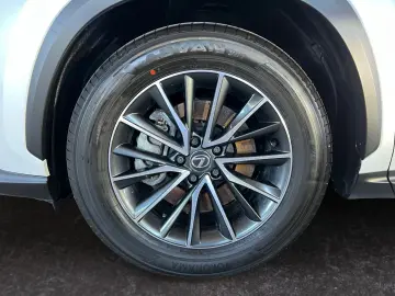 LEXUS NX 450h  E-FOUR Business Line  LED 360  ACC Navi