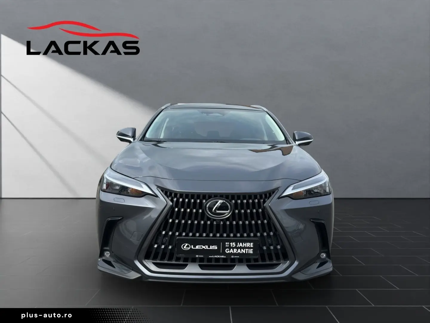 LEXUS NX 350h Executive E-FOUR PANORAMA HuD MEMORY SHZ
