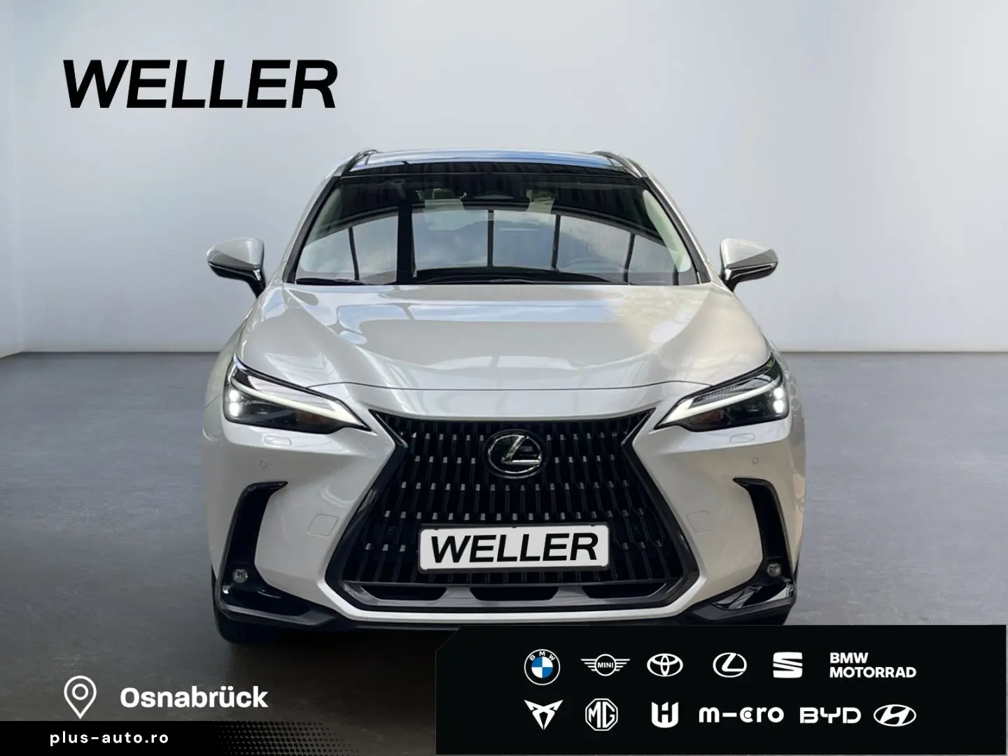 LEXUS NX 350h Executive Line  Bi-LED 360  ACC el. Heck