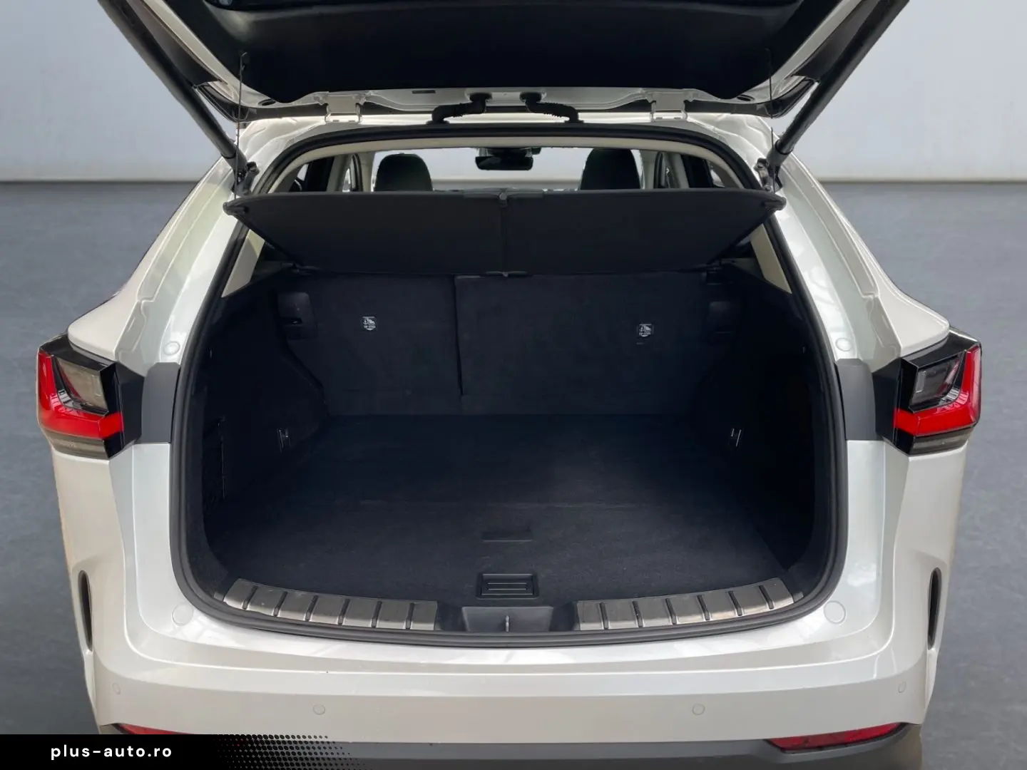 LEXUS NX 350h Executive Line  Bi-LED 360  ACC el. Heck