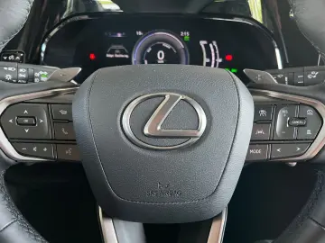 LEXUS NX 450h  E-FOUR Business  Bi-LED RCam el. Sitze