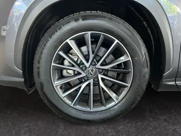 LEXUS NX 450h  E-FOUR Business  Bi-LED RCam el. Sitze