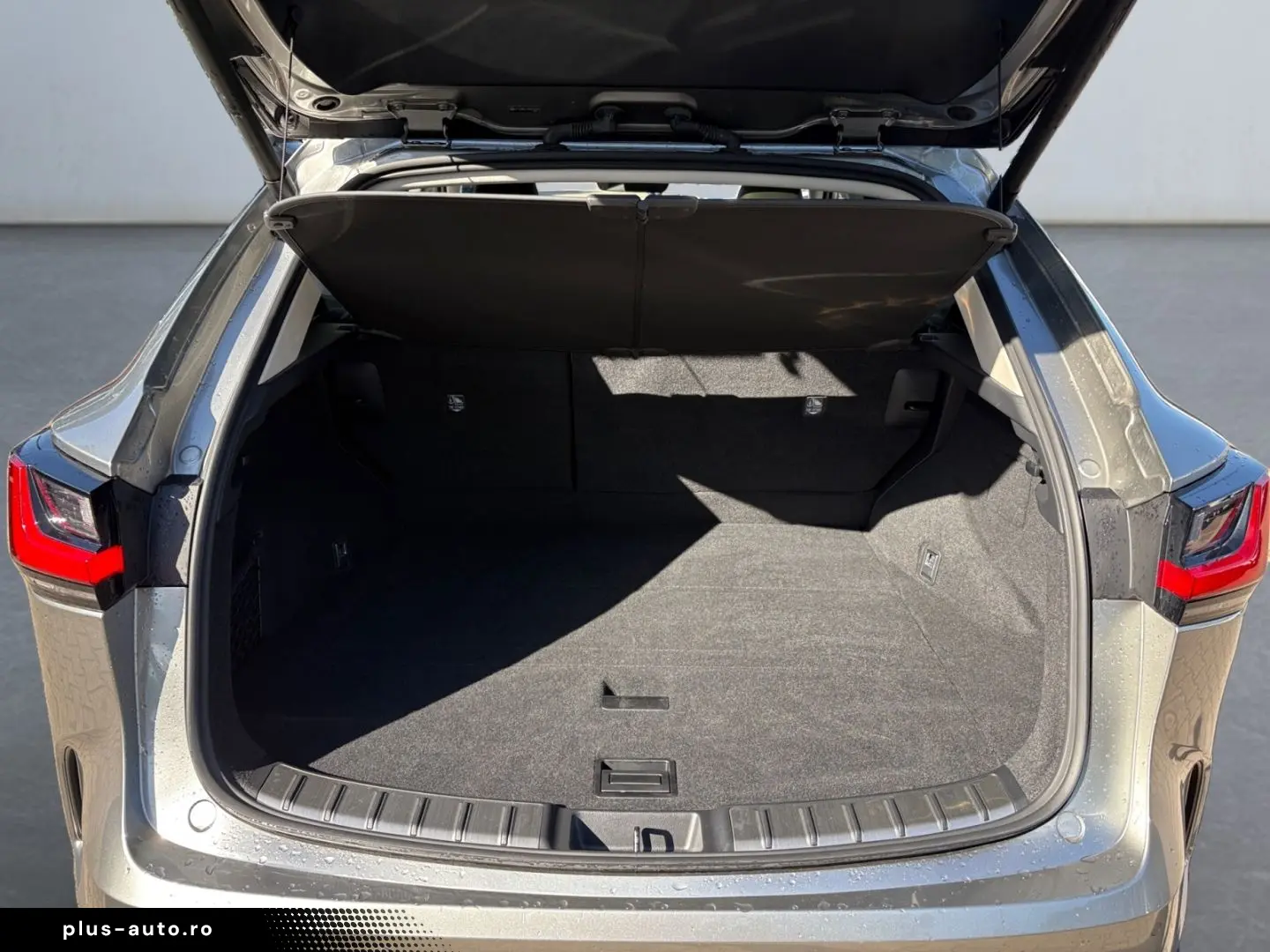 LEXUS NX 350h Executive Line  Pano ACC PDC LED Klima