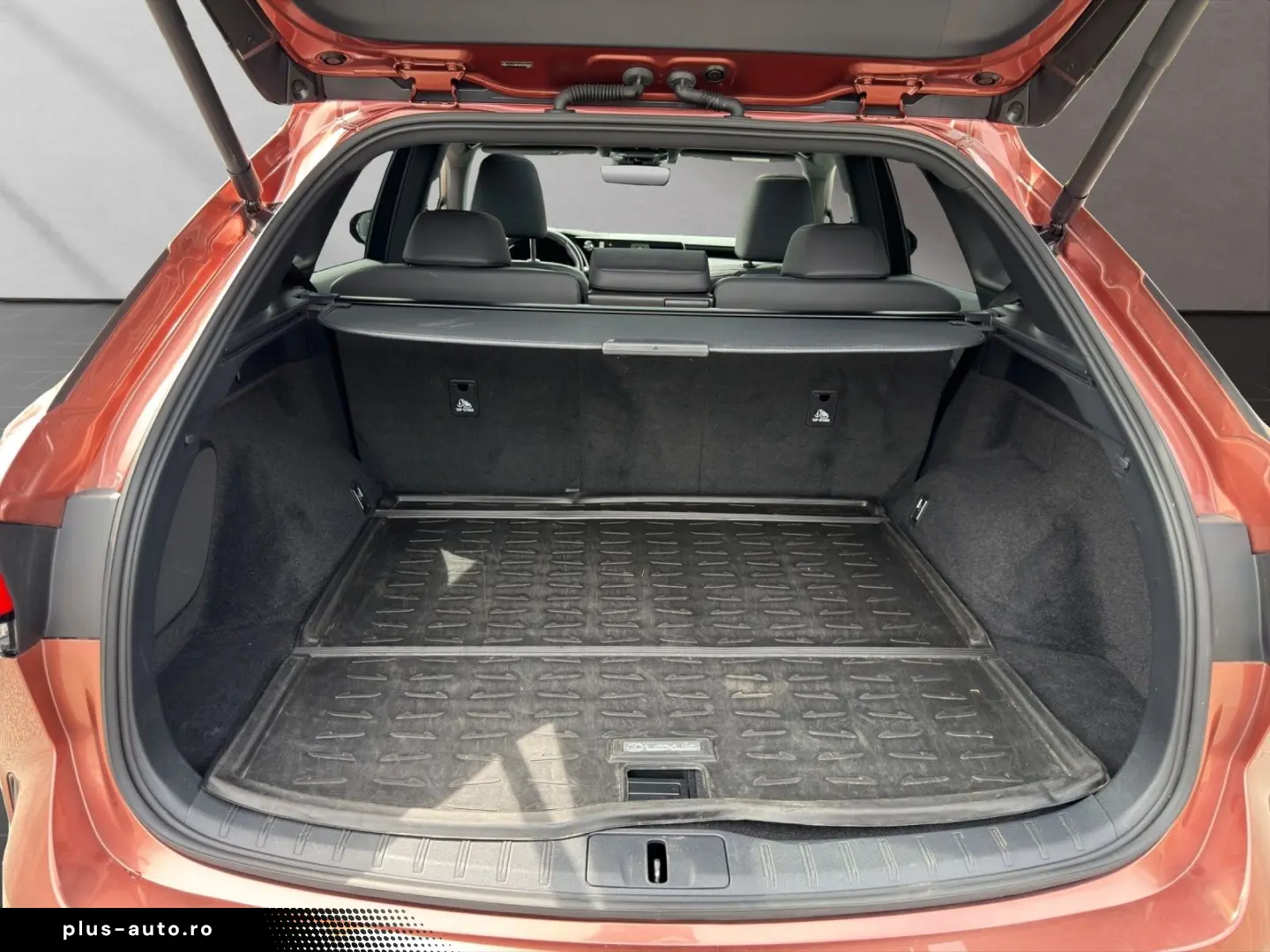 LEXUS RX 450   F Sport Design E-Four MATRIX-LED PANO H