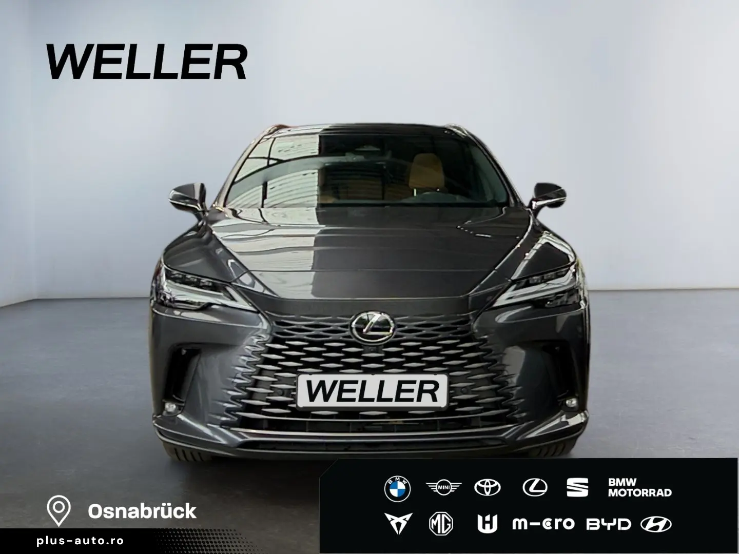 LEXUS RX 450h Plug-in-Hybrid Exec  Pano 360  SHZ PDC