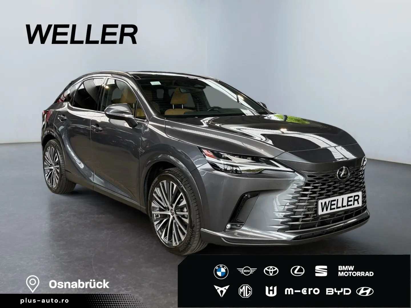 LEXUS RX 450h Plug-in-Hybrid Exec  Pano 360  SHZ PDC