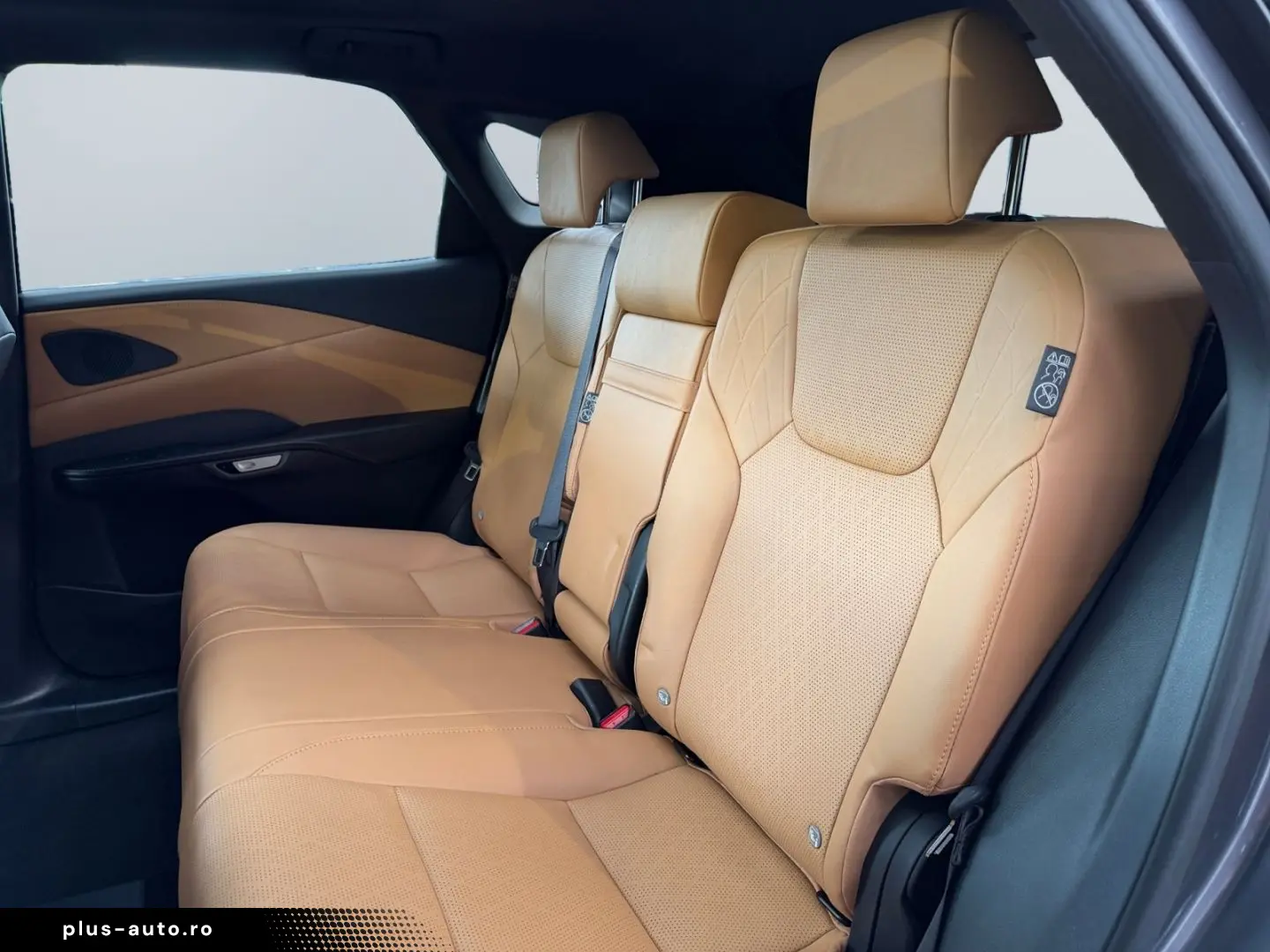 LEXUS RX 450h Plug-in-Hybrid Exec  Pano 360  SHZ PDC