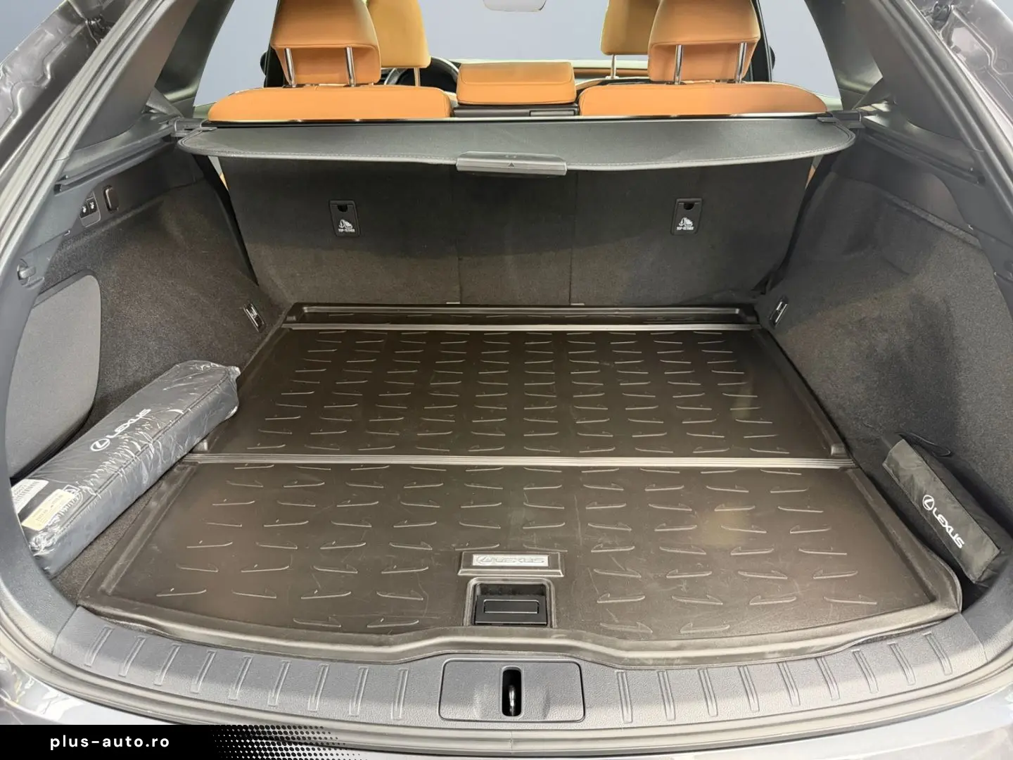 LEXUS RX 450h Plug-in-Hybrid Exec  Pano 360  SHZ PDC