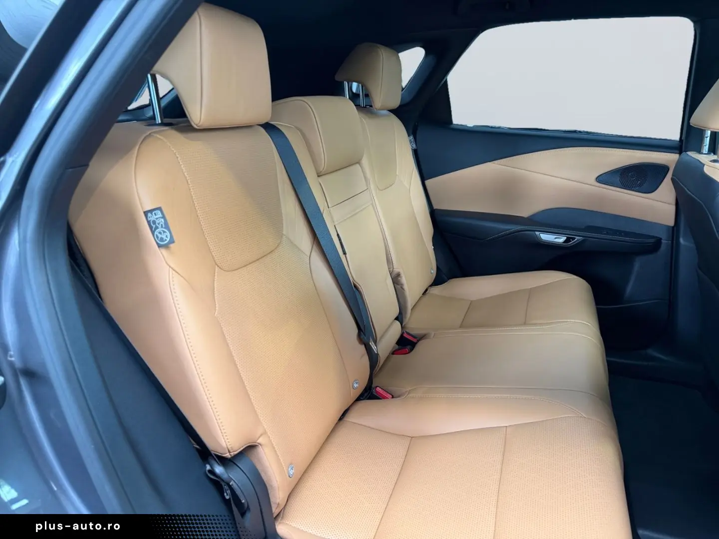 LEXUS RX 450h Plug-in-Hybrid Exec  Pano 360  SHZ PDC