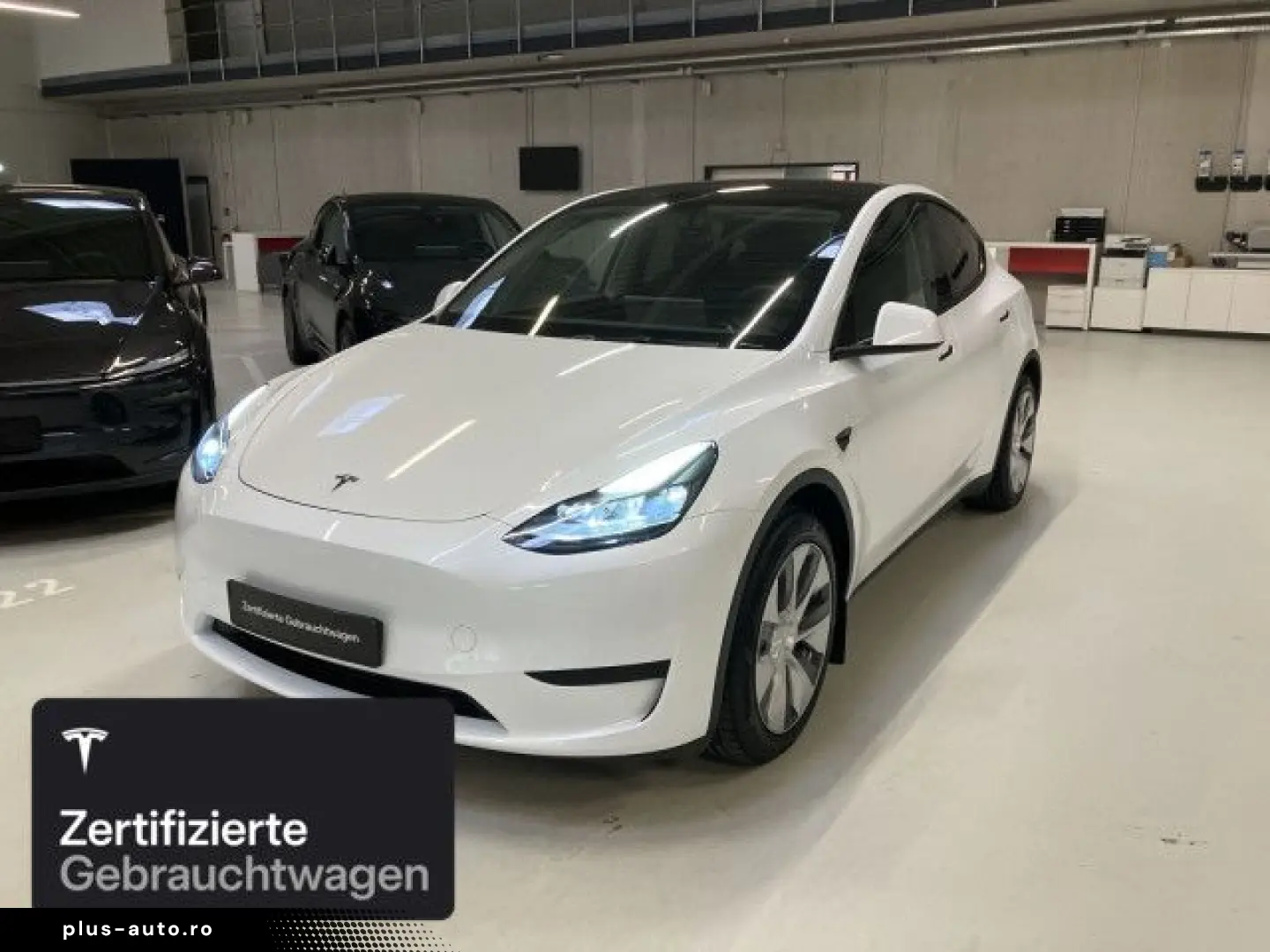 TESLA Model Y Rear-Wheel Drive