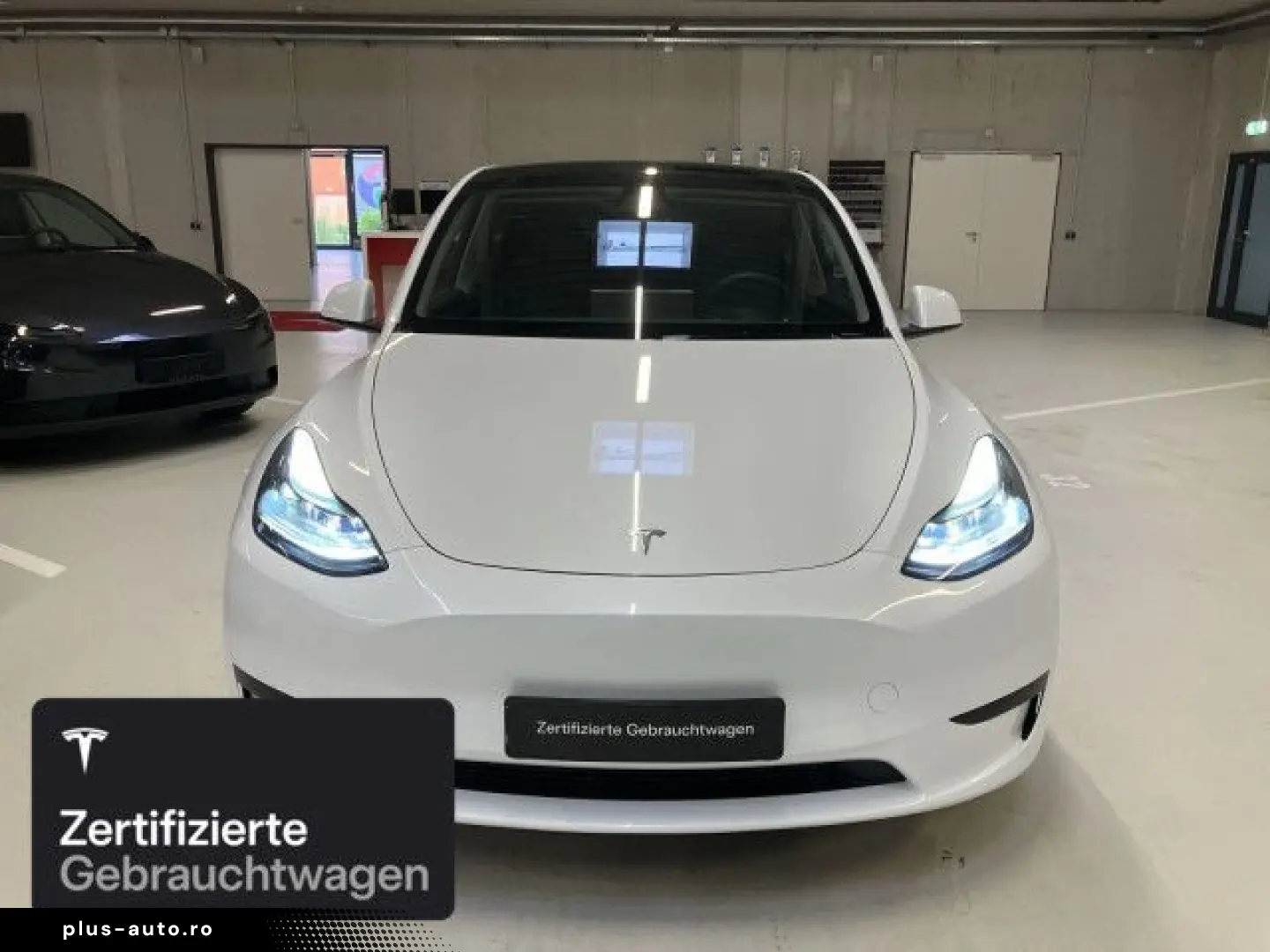 TESLA Model Y Rear-Wheel Drive