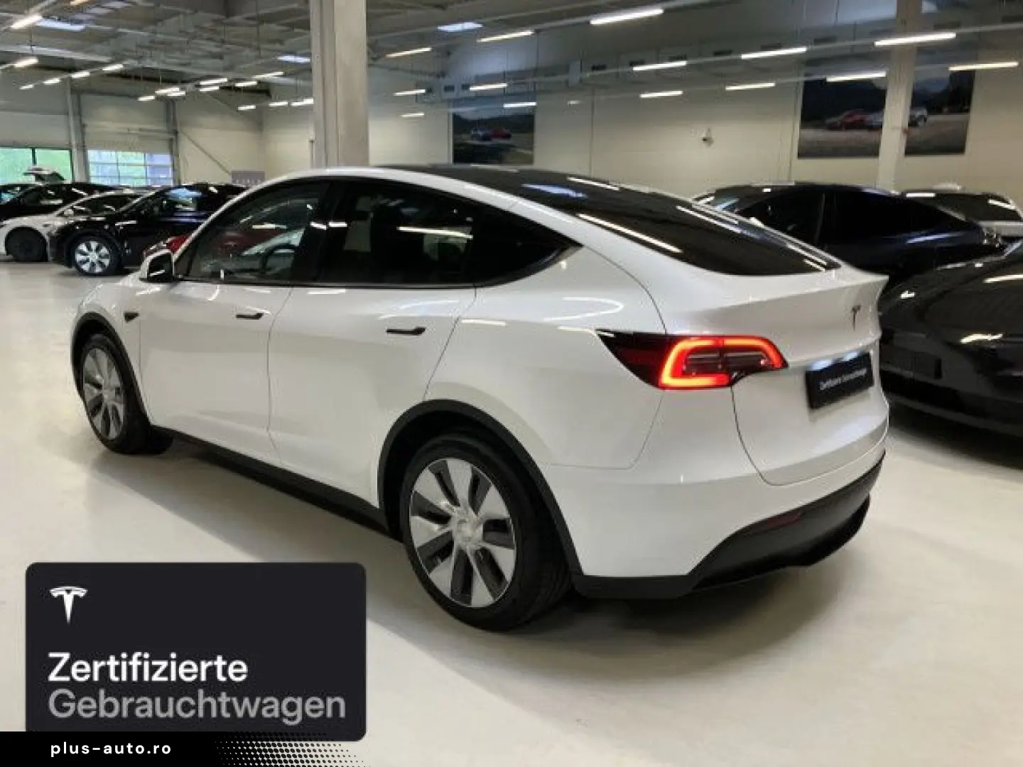 TESLA Model Y Rear-Wheel Drive