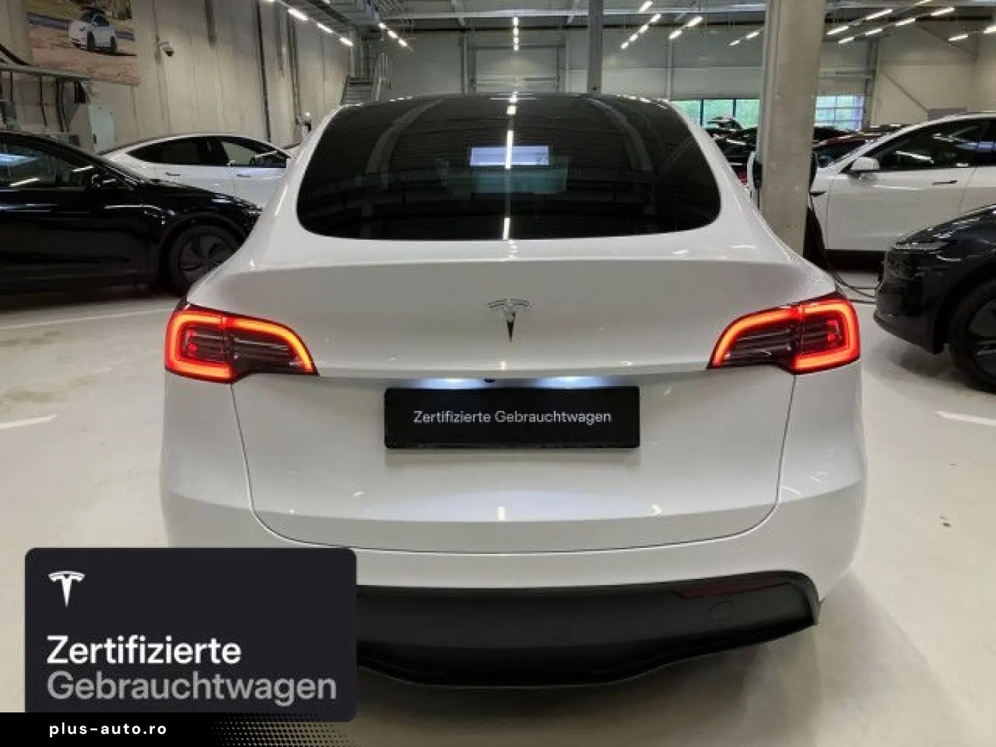 TESLA Model Y Rear-Wheel Drive