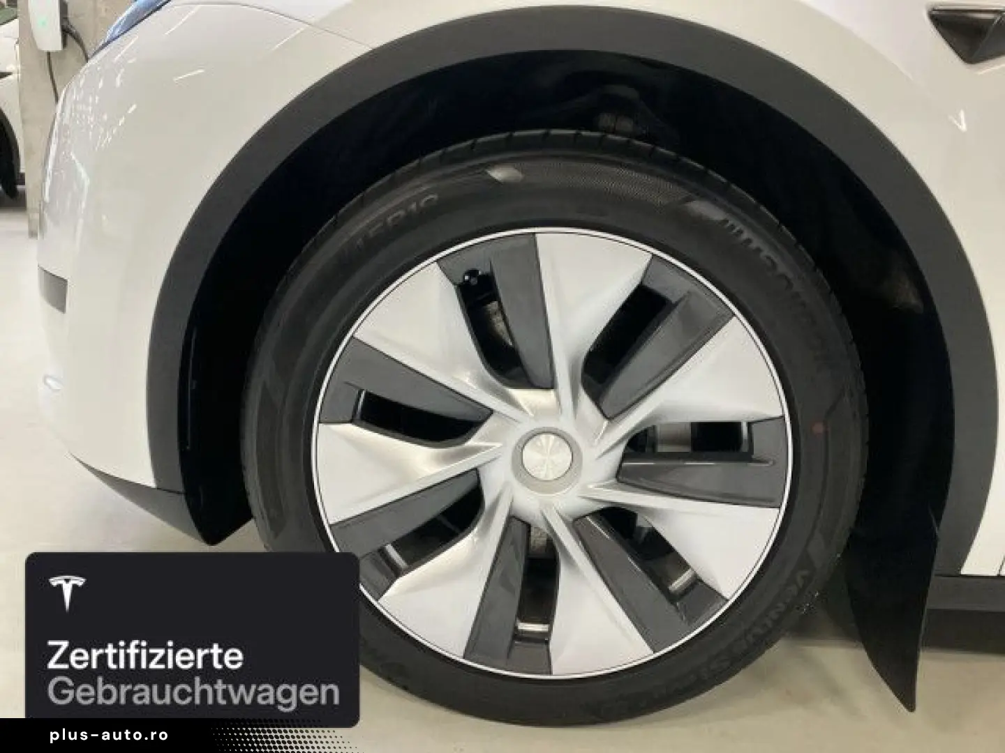 TESLA Model Y Rear-Wheel Drive