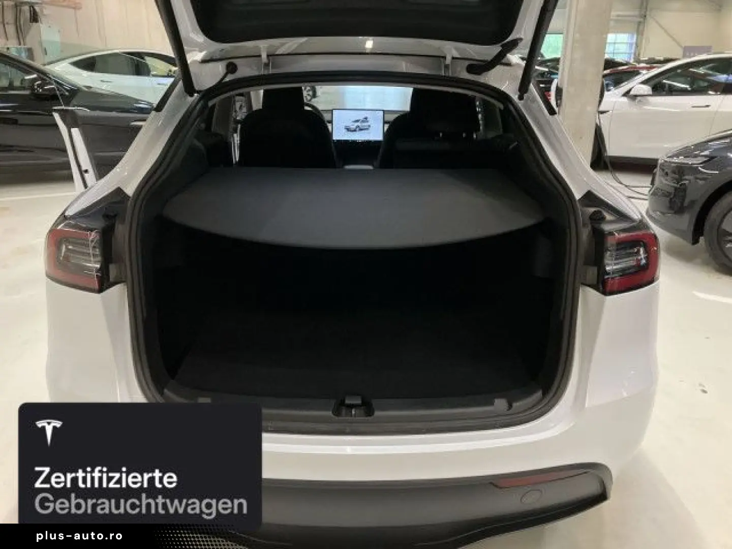 TESLA Model Y Rear-Wheel Drive