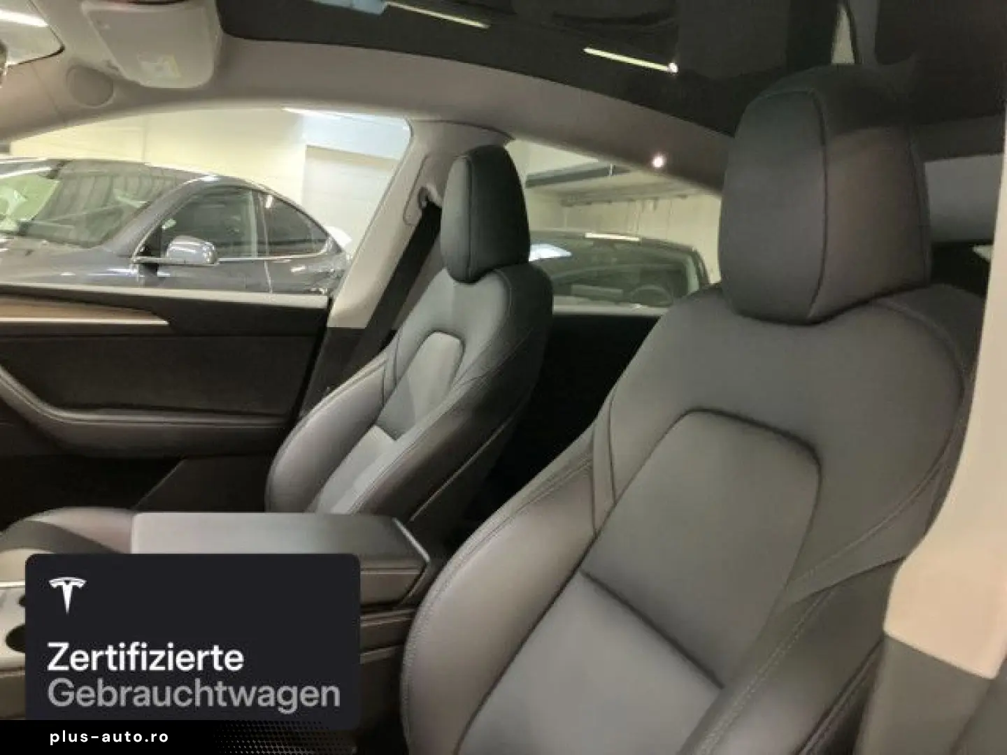 TESLA Model Y Rear-Wheel Drive