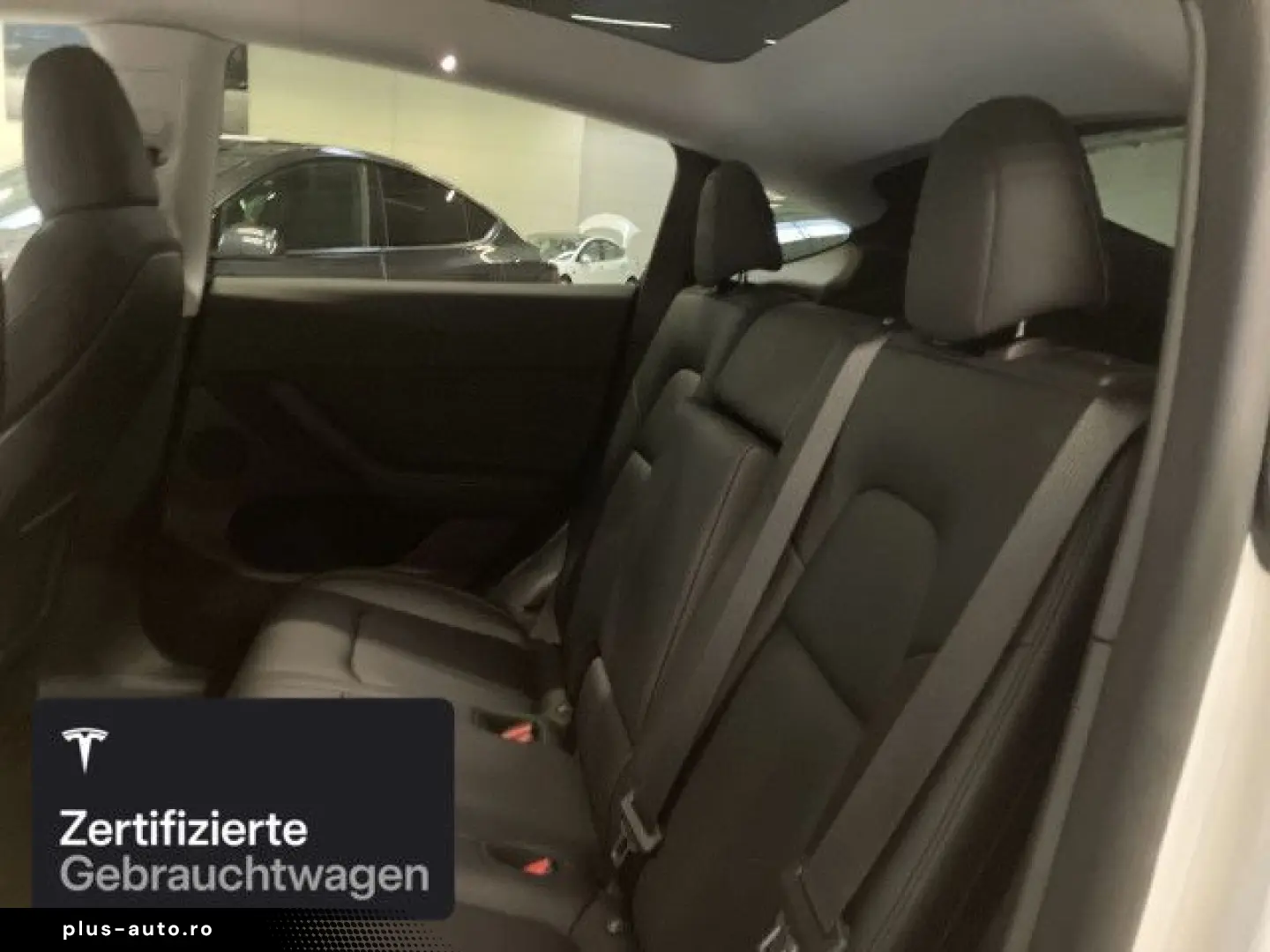 TESLA Model Y Rear-Wheel Drive